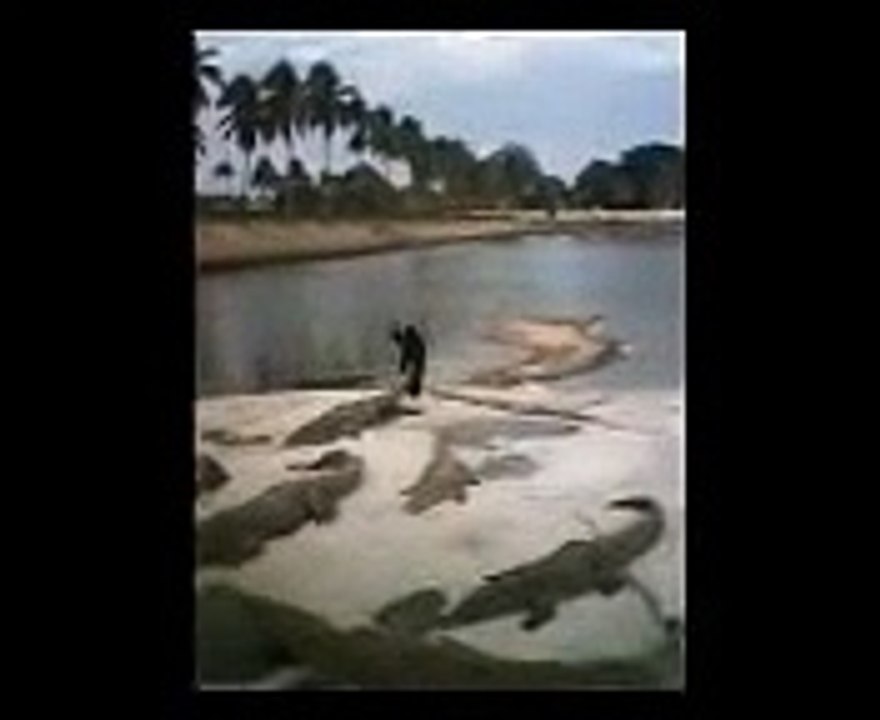 Crocodile Trainer Attacked And Eaten Alive - MUST WATCH