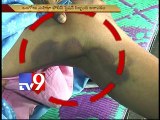 Woman brutally beaten up by male police in Ongole PS