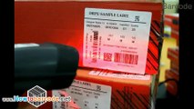 Using Barcode Scanners to scan designed labels