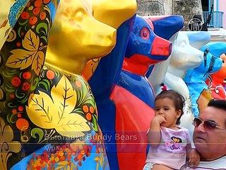 Выставка медведей впервые прибыла на Кубу