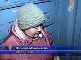 Бездомная кошка спасла брошенного младенца