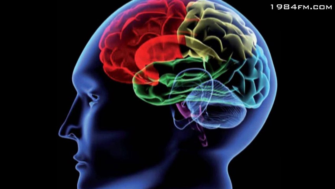 Online Petitionen bringen das Gegenteil von dem was du ändern wolltest.....