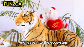 Shave The Tiger- Funny Mimi Teddy Song