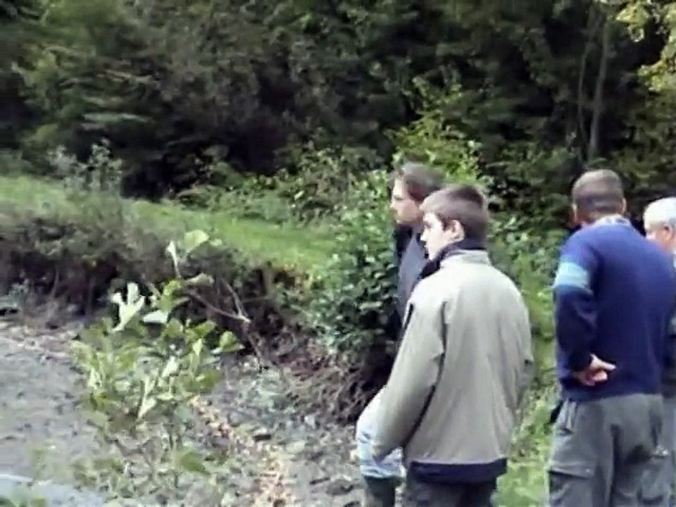 Abfischen am Teich 2004 - Teil 1