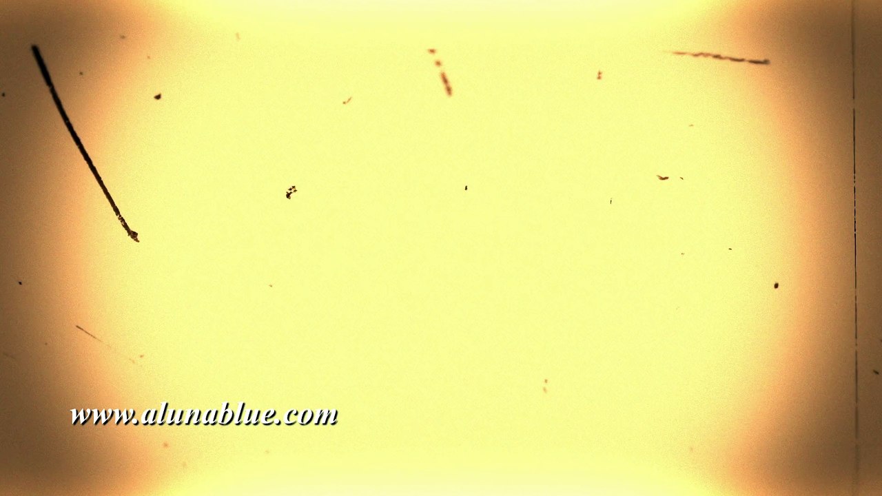 Free Stock Video 007