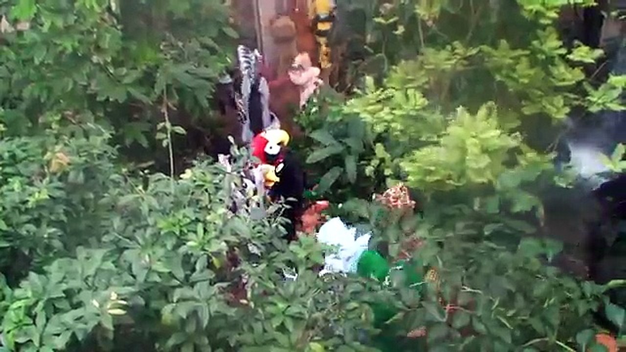 Tarzan (Rémi GAILLARD) Full HD