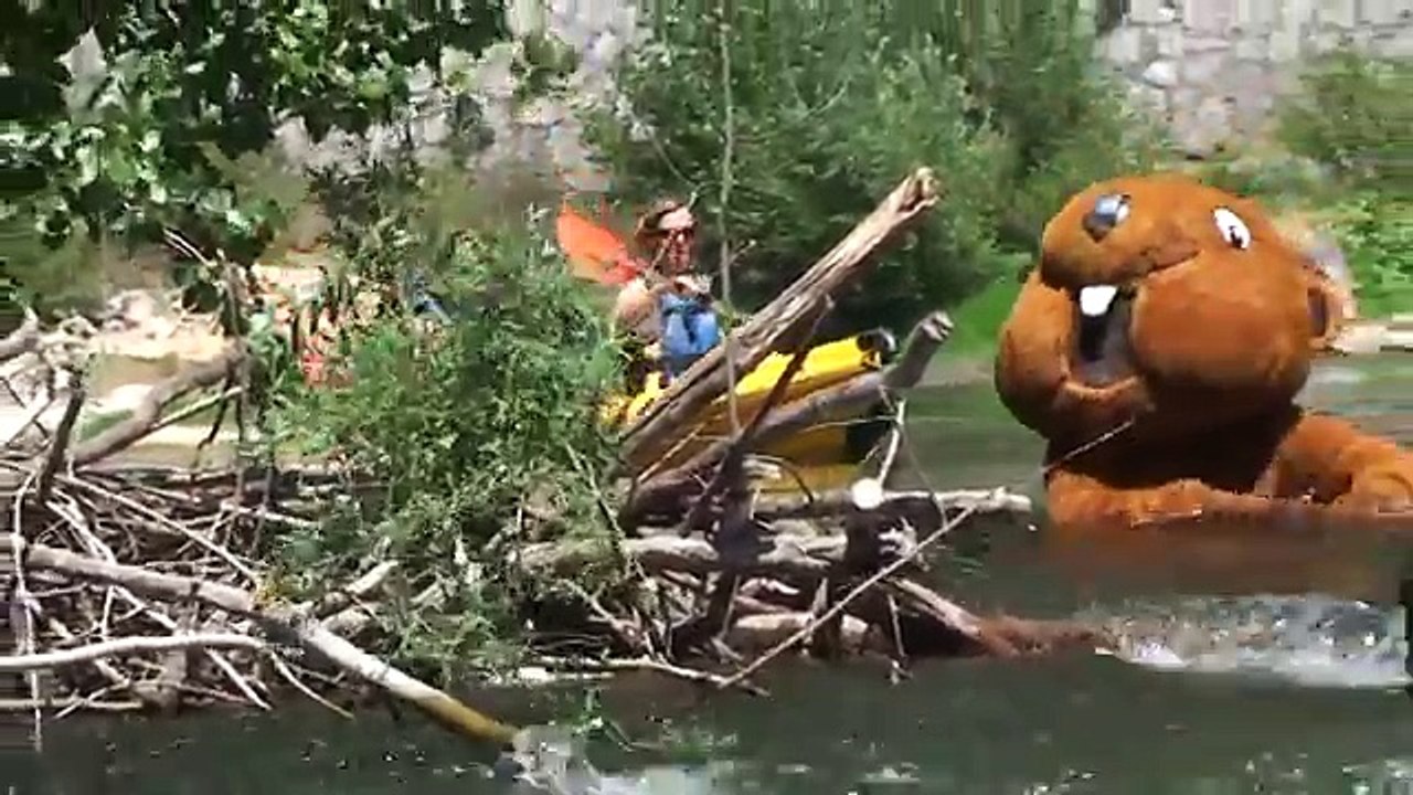 Beaver (Rémi GAILLARD) Full HD