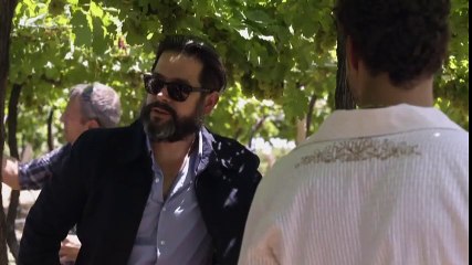 Amores Robados Trailer español