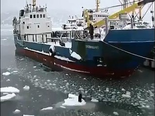 ibretlik Bir Video..Mutlaka Seğredin