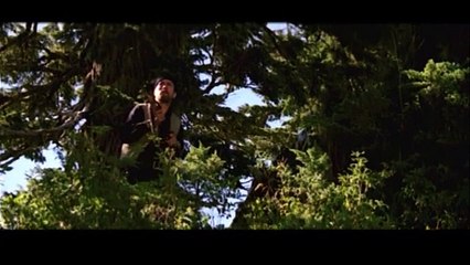 Irish Times ad with Harry McGee