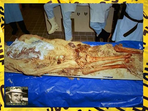 Crimenes Imperfectos, Investigadores Forenses