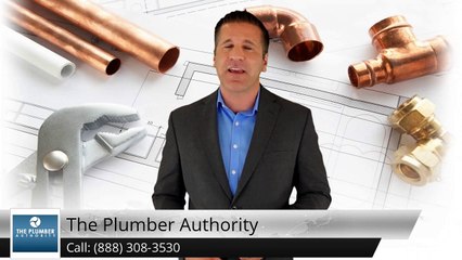 The Plumber Authority Burbank Excellent Five Star Review by Dom G.