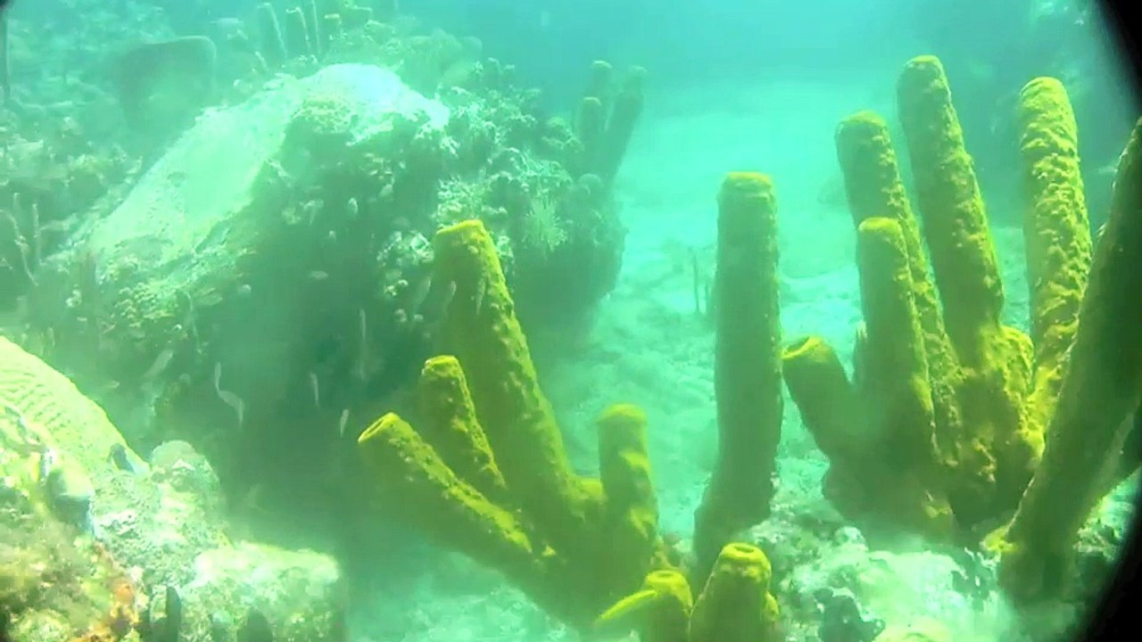 Bequia Plonger 2012 "ancienne caméra"