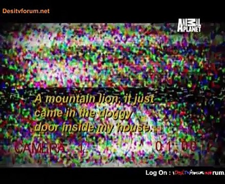 Deadliest 20th January 2015 Video Watch Online Pt1