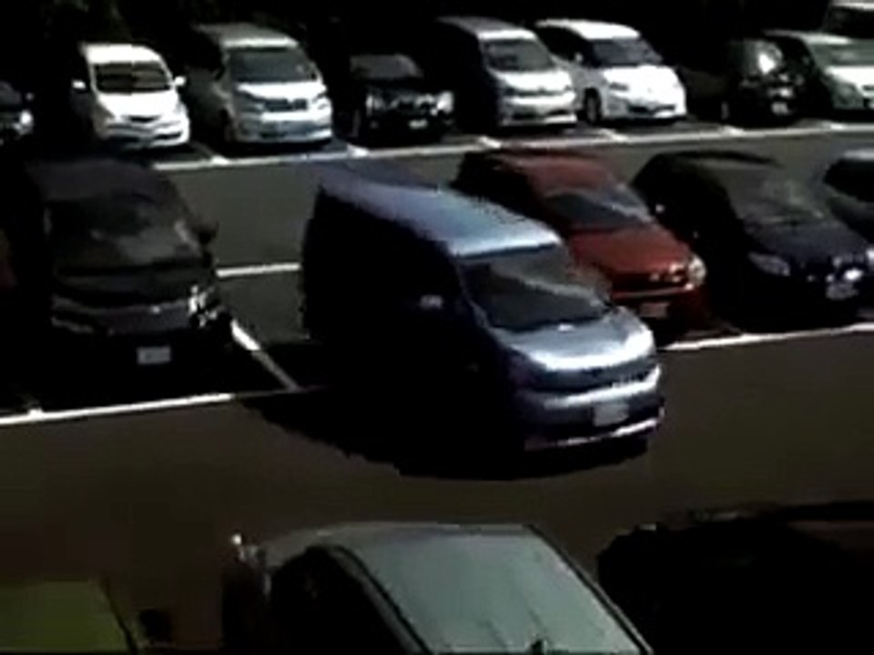 Funny Videos