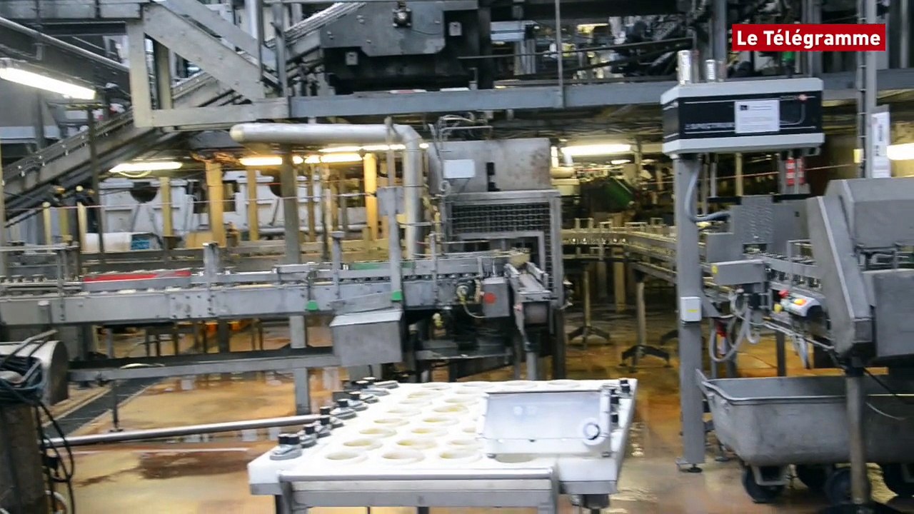 Grâces (22). Au coeur de la fabrication de la pâté pour chiens et chats