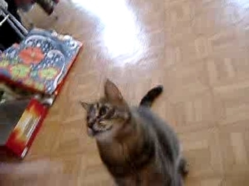 Mika et sa Peeeeggy !