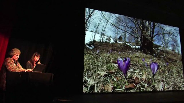 Roberto ISOTTI 150115