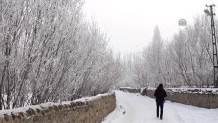 Doğu'da Sibirya Soğukları (2)