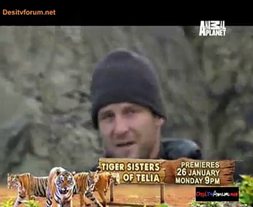 Mystery Of The Lost Islands 20th January 2015 Video Watch Online Pt2