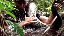 Un hombre será tragado por una anaconda gigante en directo