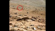 La NASA muestra otra extraña criatura en la superficie de Marte[1]