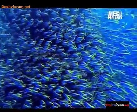 MahaYudh 20th January 2015 Video Watch Online Pt2