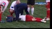 Dutch Referee breaks player's nose