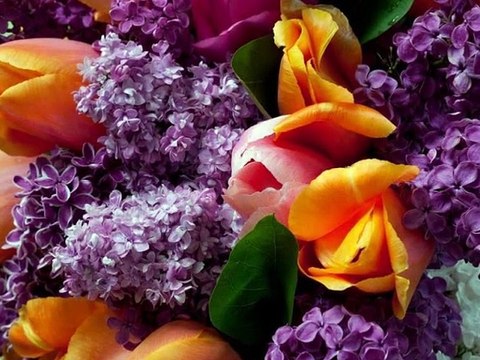 ZEKİ MÜREN- KALBE DOLAN BAKIŞ