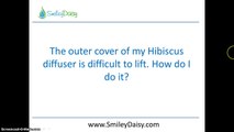 Hibiscus Model: Frequently Asked Questions 1