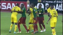 Mali vs Cameroon 1-1 All Goals & Highlights 2015