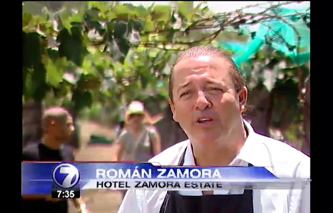 Uvas majadas con los pies dan como resultado un excelente vino