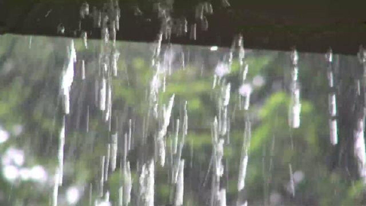 Scientists Explain Where That After-Rain Smell Comes From