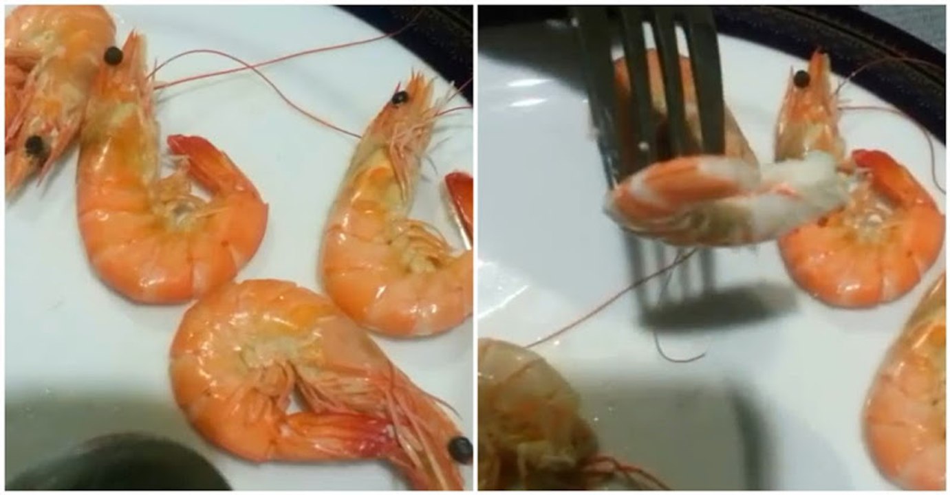 How To Peel Shrimp In 3 Seconds