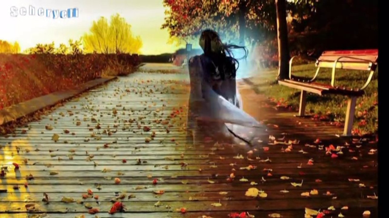 Reşat Aysu ♪♪♪ Hicaz Saz Semaisi