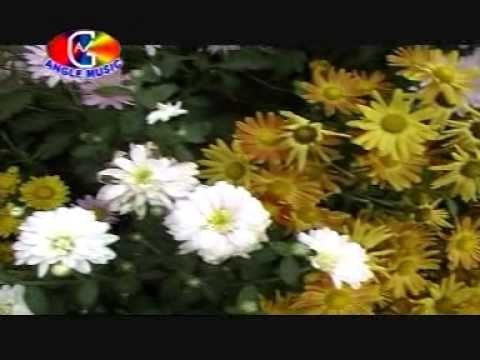 Maiya Kareli Sher Ke Sawari | Maaiya Ji Ke Tiger | Sakshi