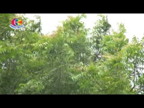 A Jag Taran Maiya | Saaton Bahina Ayili Angna | Chandana Singh