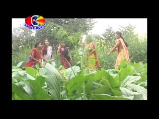 Rangva Biche Se Dalela | Rang Dalem Sari Mein | Sumer Singh