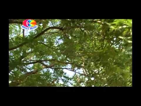 Gitiya Nimiye Tare | Mai Ke Charniya | Neha Nihaika , Shreya