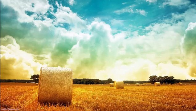 سورة مريم -ماهر المعيقلي - The Quran Surah maryam