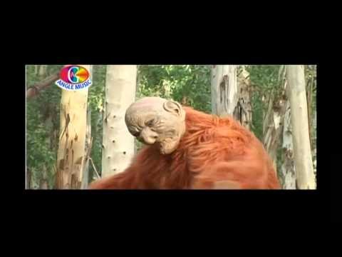 Dulhwa Baklola Ba sakhi | Shiv Ji Ke Shena Chali | Subahsh Raja