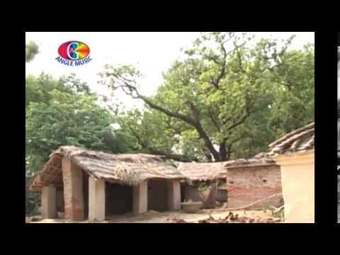 Baba ke bachhi khunta turail | Choliya ke bima | Amrendra sharma