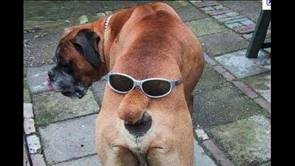 Noticias CYN Loquendo