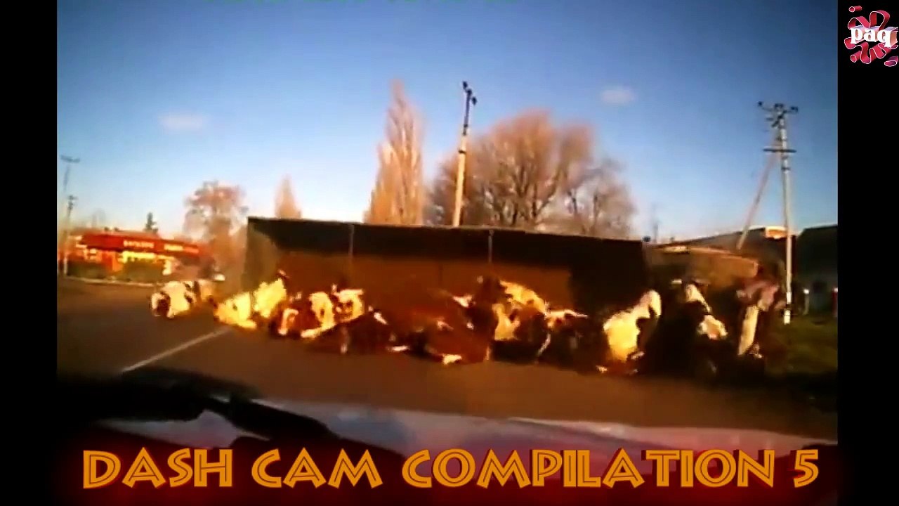 Dash Cam Compilation 5 paq