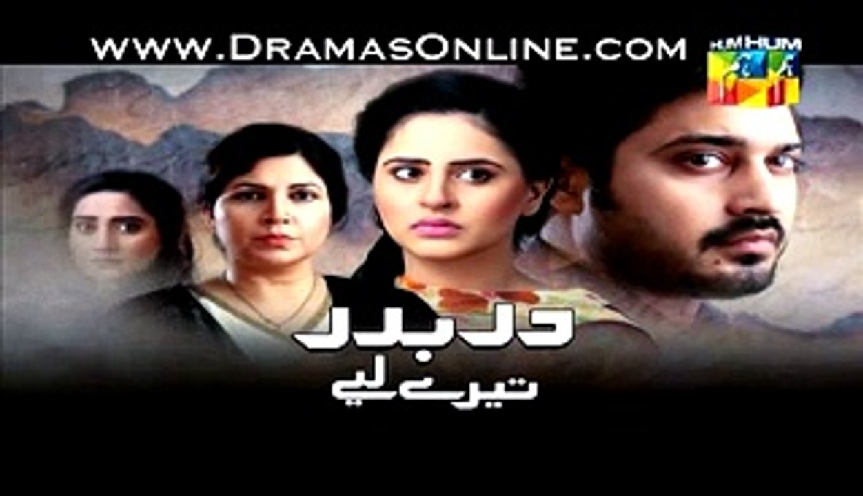 Darbadar Tere Liye Promo Episode 17 on Hum Tv  20th January 2015