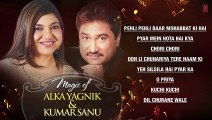 Magic of -Alka Yagnik & Kumar Sanu - By Super Janlewa