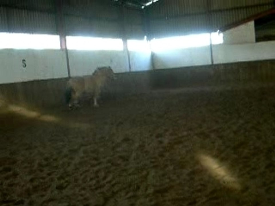 on y va tranquille!