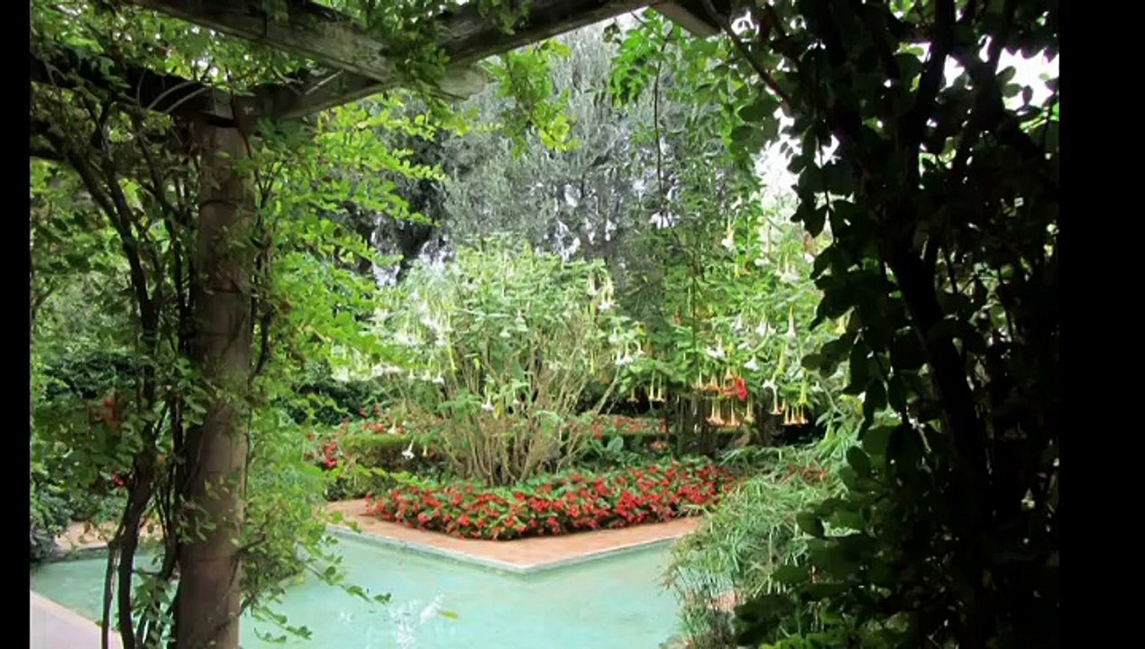 Лазурный Берег 2014