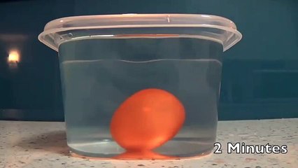 How To Dissolve an Eggshell