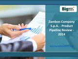 2014 Zambon Company S.p.A. Product Market Pipeline: Big Market Research